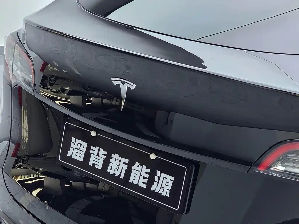 Tesla Model Y — миниатюра 16