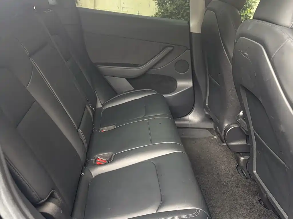 Tesla Model Y — миниатюра 7