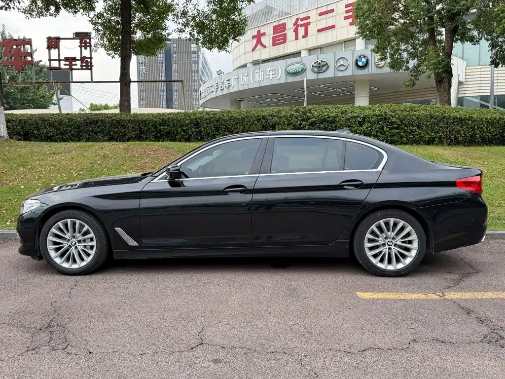 BMW 5 Series 5 2020 530Li Premium Luxury