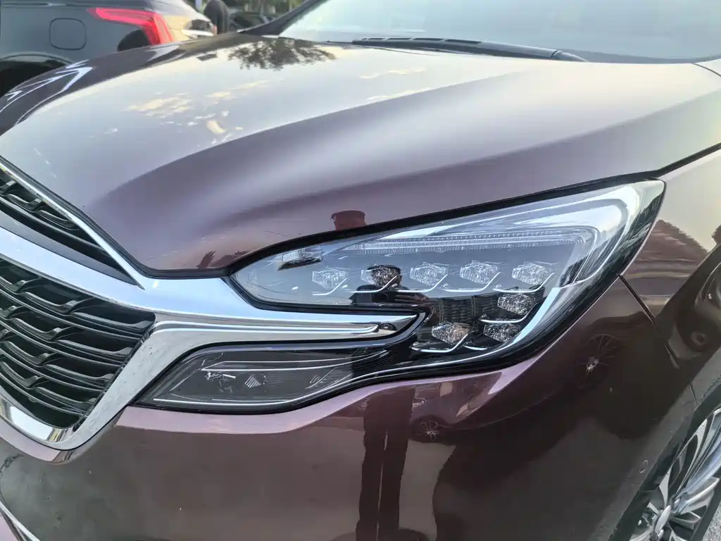 Buick GL8 — миниатюра 3