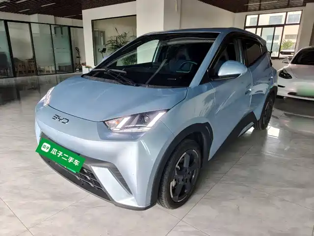 2024 BYD Seagull
