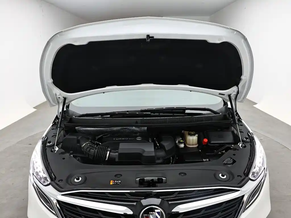 Buick GL8 — миниатюра 17
