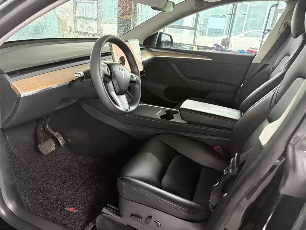 Tesla Model Y — миниатюра 4