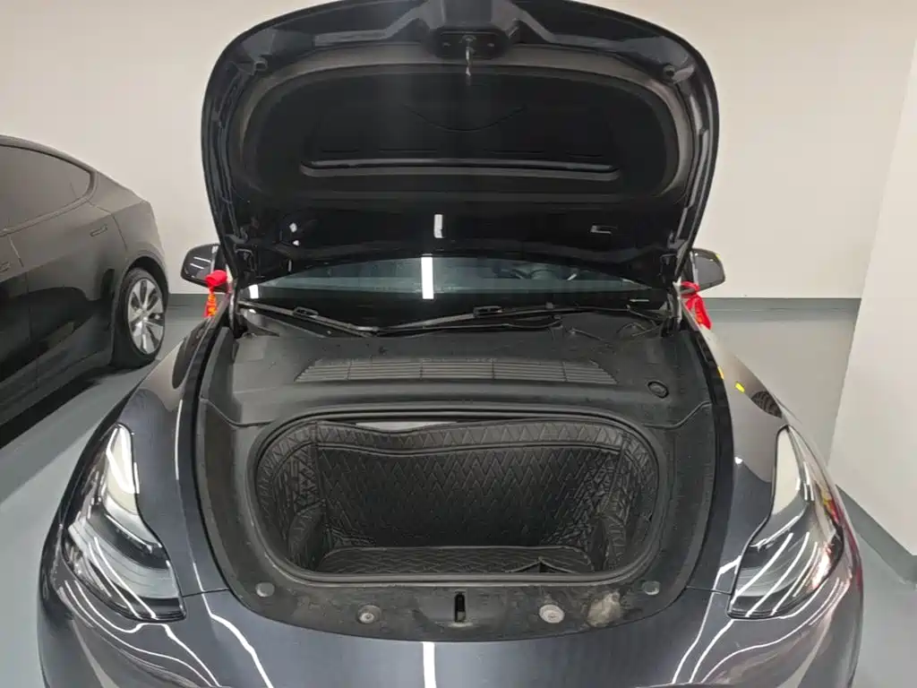Tesla Model Y — миниатюра 20