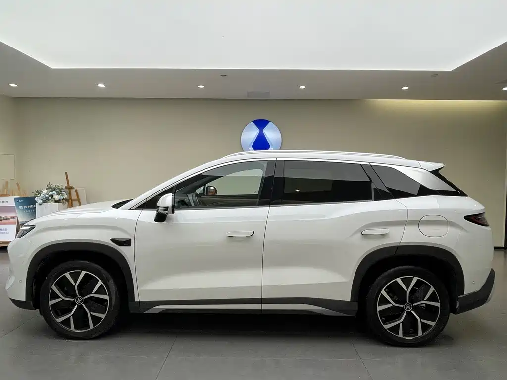 BYD Song L DM-i L DM-i 2025 Smart Drive 160km