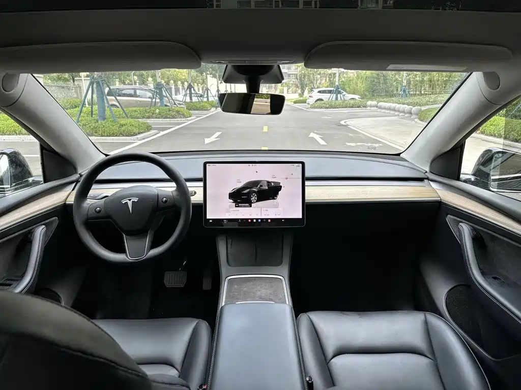 Tesla Model Y — миниатюра 9