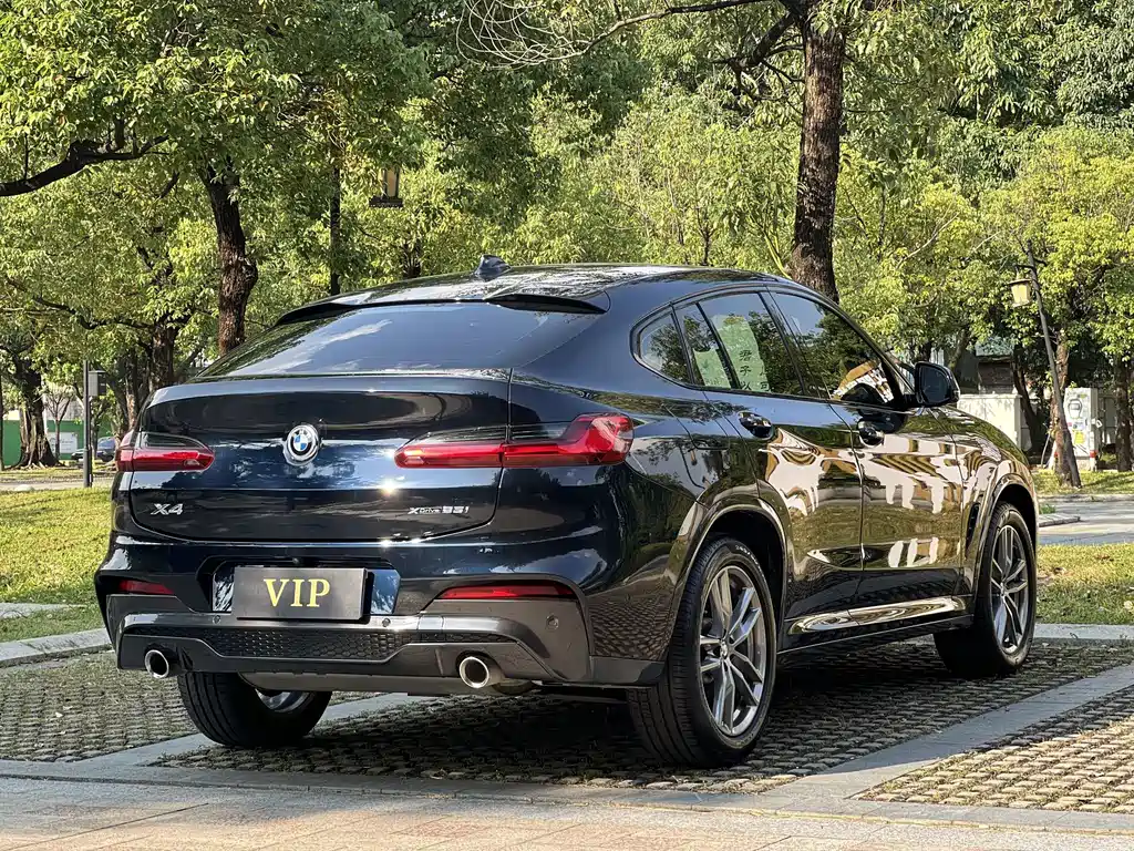 BMW X4 — миниатюра 16