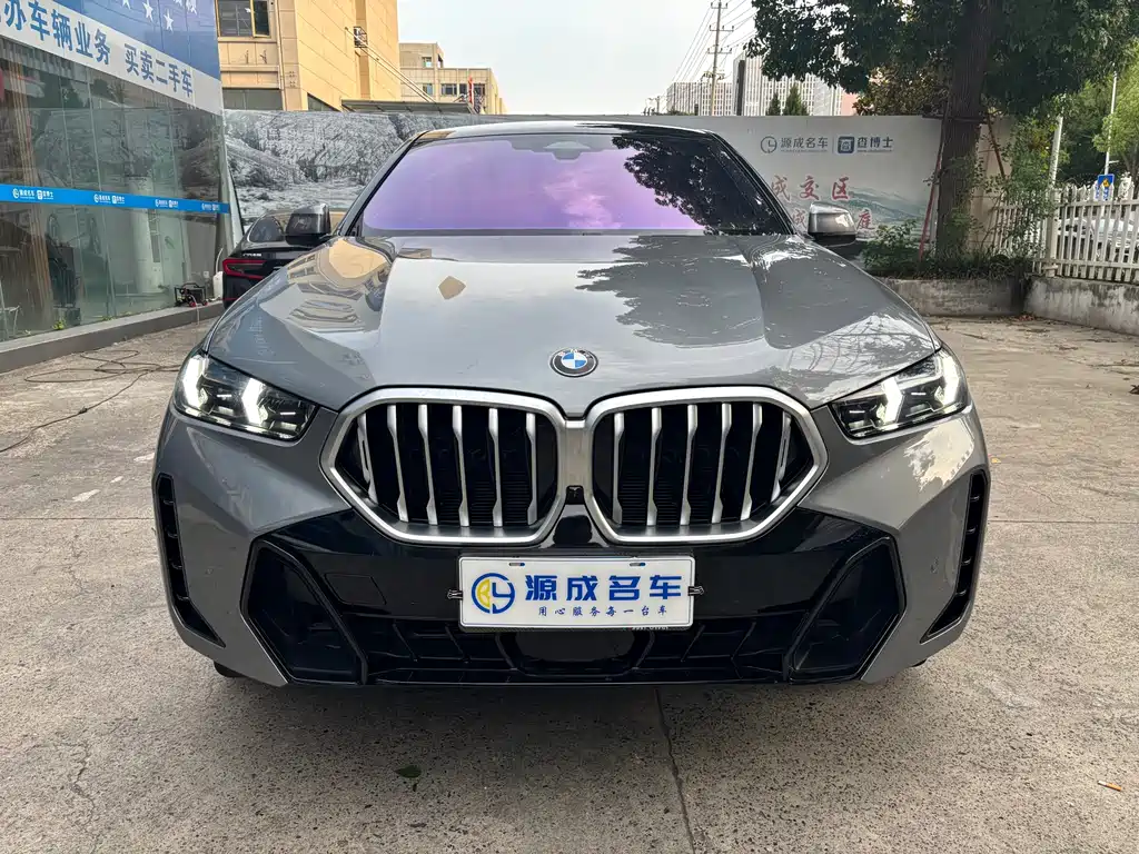 BMW X6 2023 xDrive30i M Sport