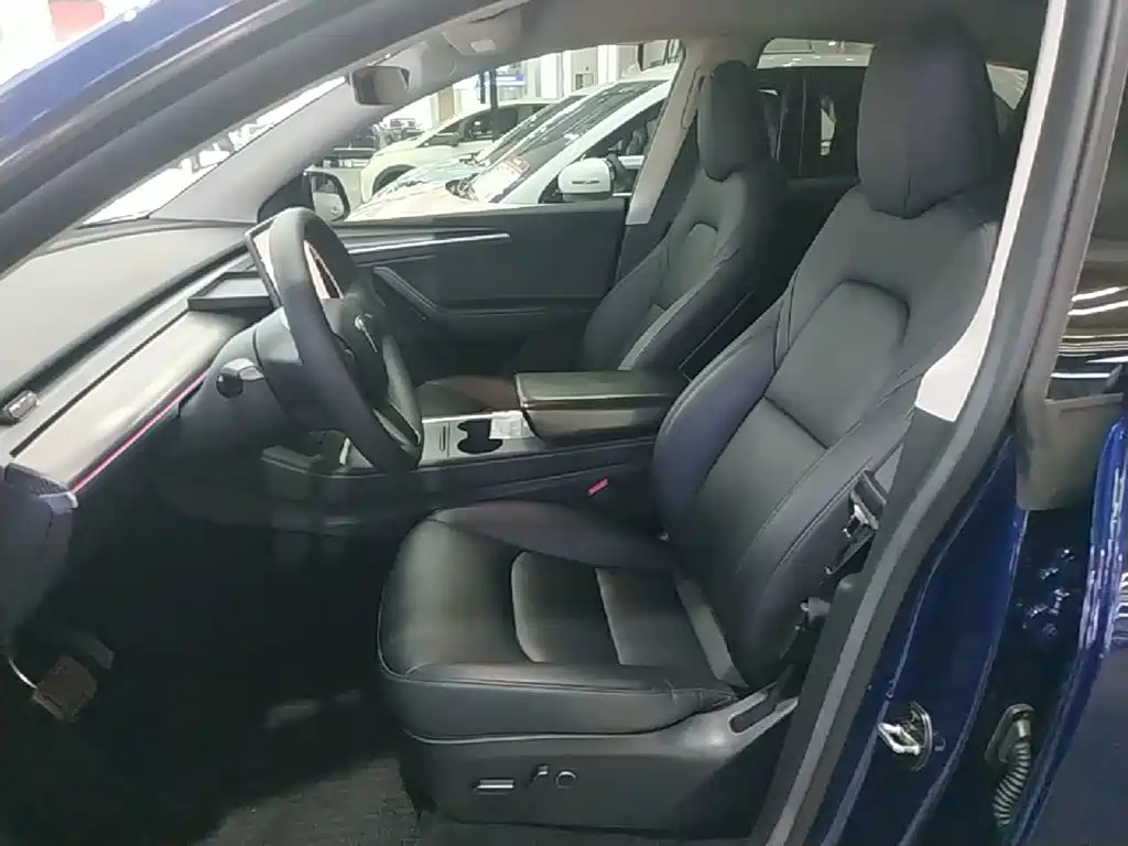 Tesla Model Y — миниатюра 15