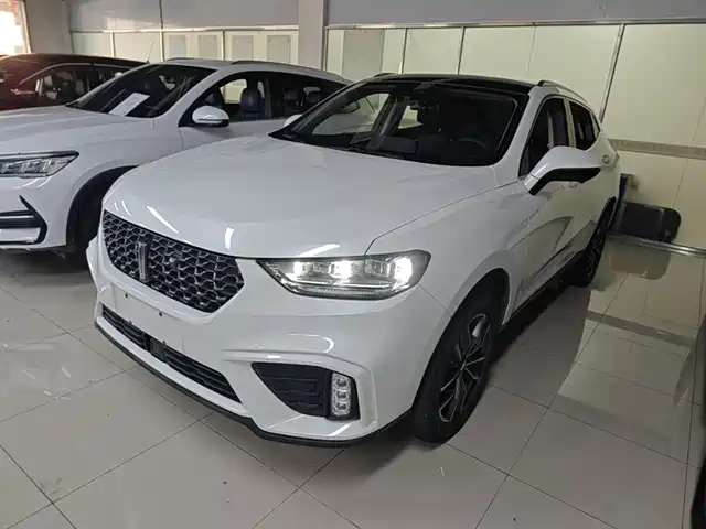 2020 Wey VV5