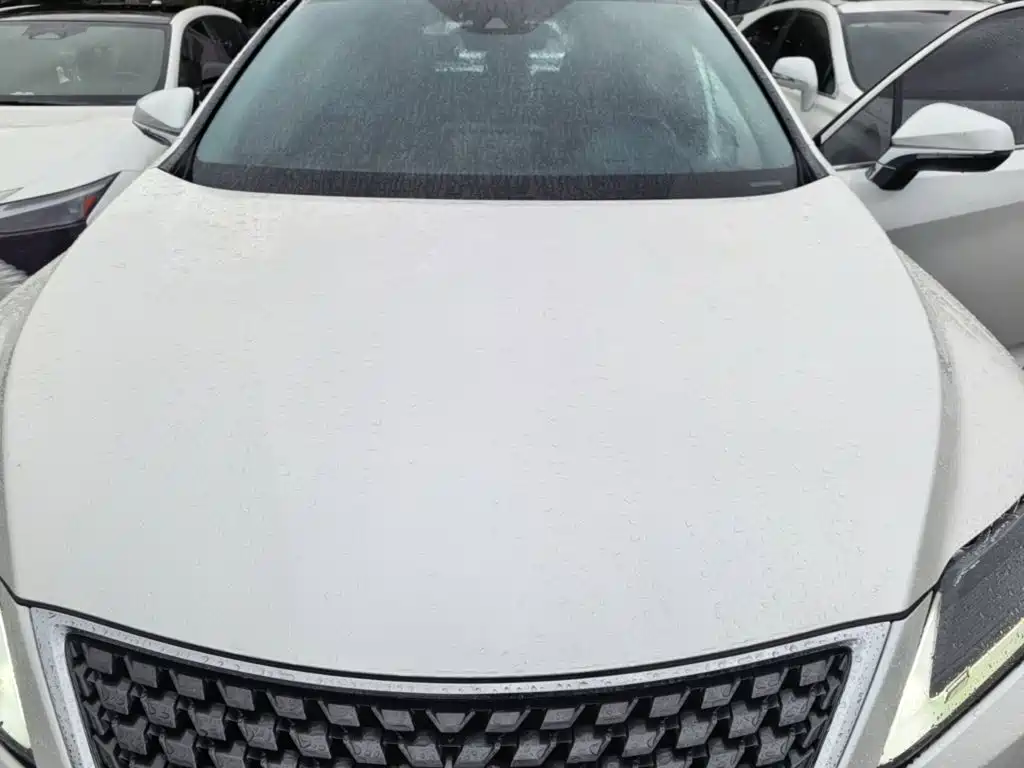 Lexus RX — фотографии объявления, Фото 21
