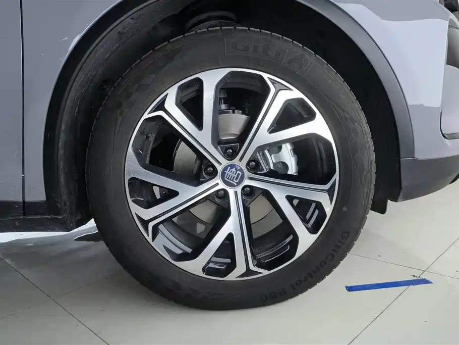 BYD Tang 2025 DM-i 115KM