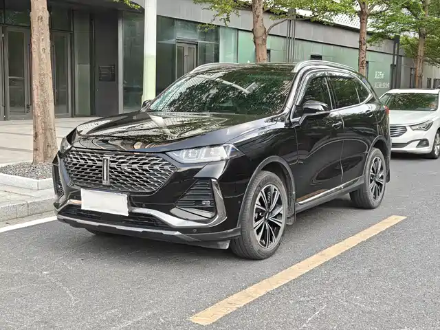 WEI PAI WEI BRAND LATTE DHT 2022