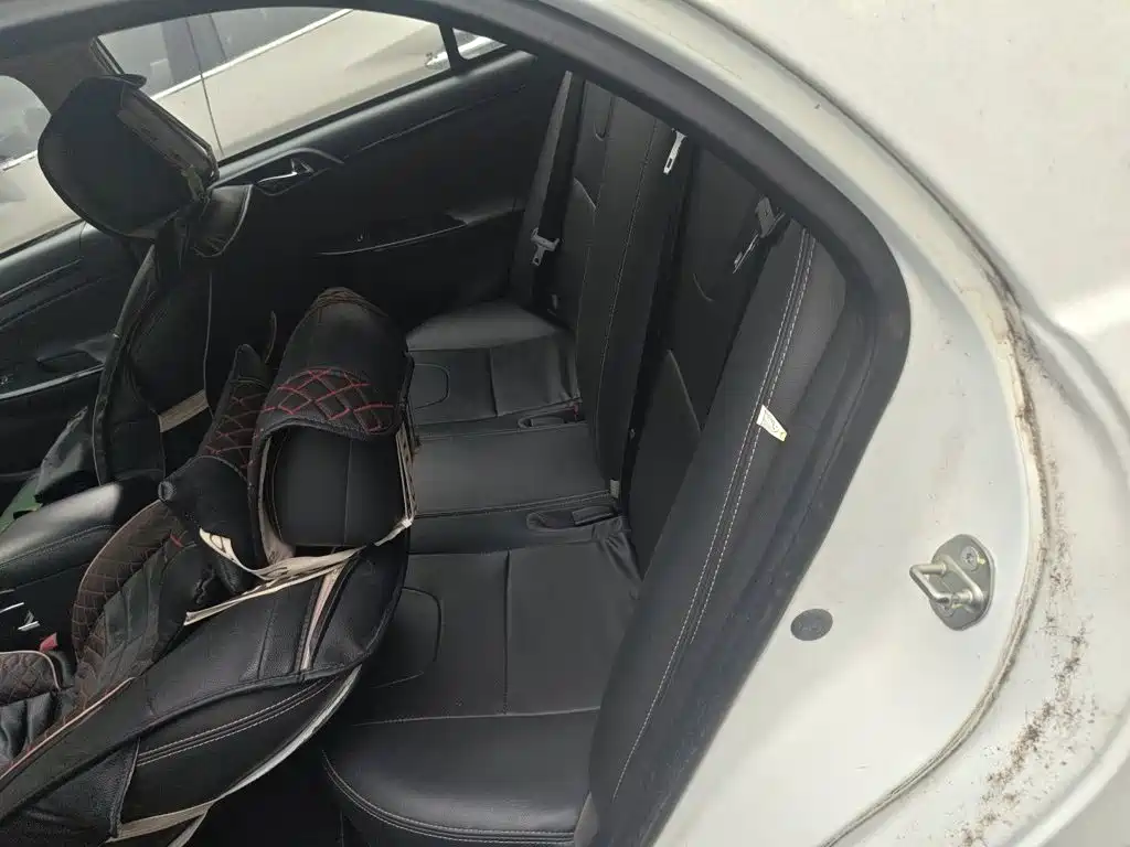 BYD Surui — миниатюра 18
