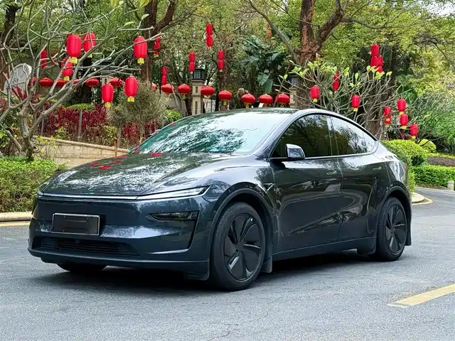 TESLA MODEL Y 2025