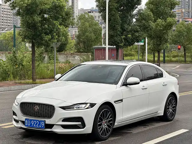 JAGUAR XEL 2022