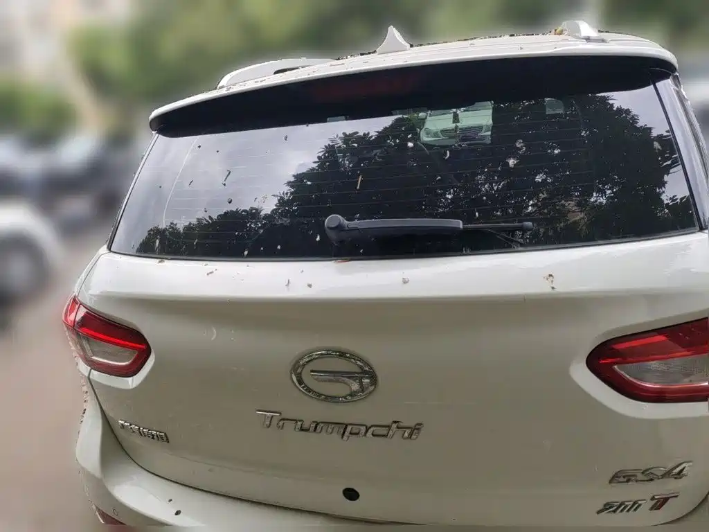 GAC Motor Trumpchi GS4 — миниатюра 3