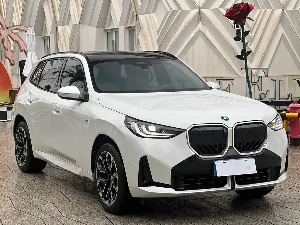BMW X3 — миниатюра 3