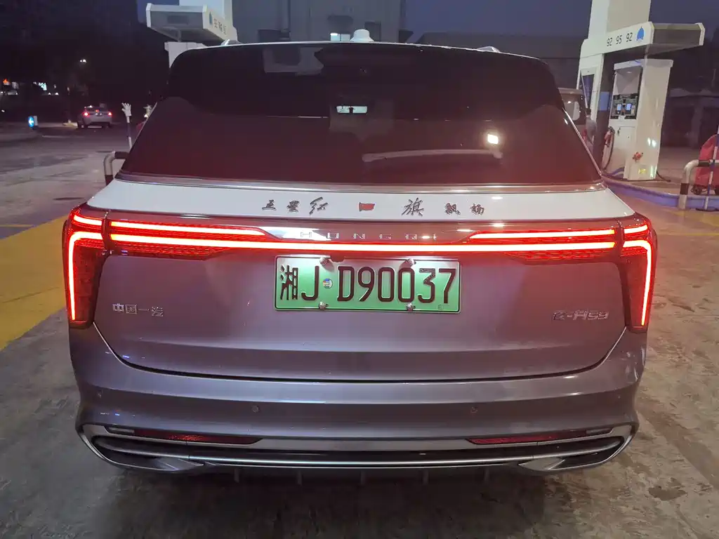 Hongqi Hongqi E-HS9 — миниатюра 5