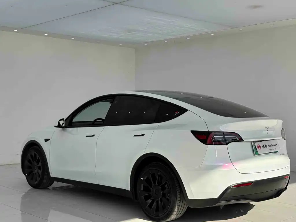 Tesla Model Y — миниатюра 12