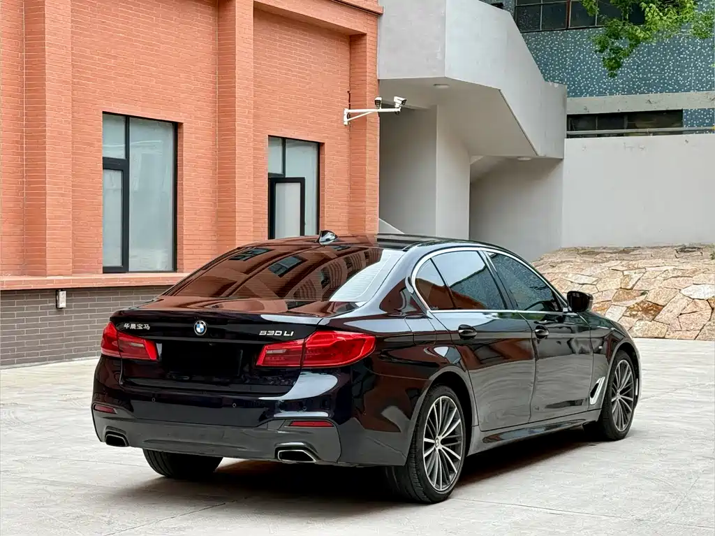 BMW 5 Series 5 2020 530Li Premium M Sport