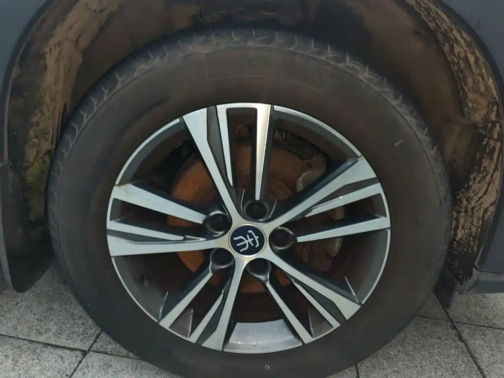 BYD Pro — миниатюра 8