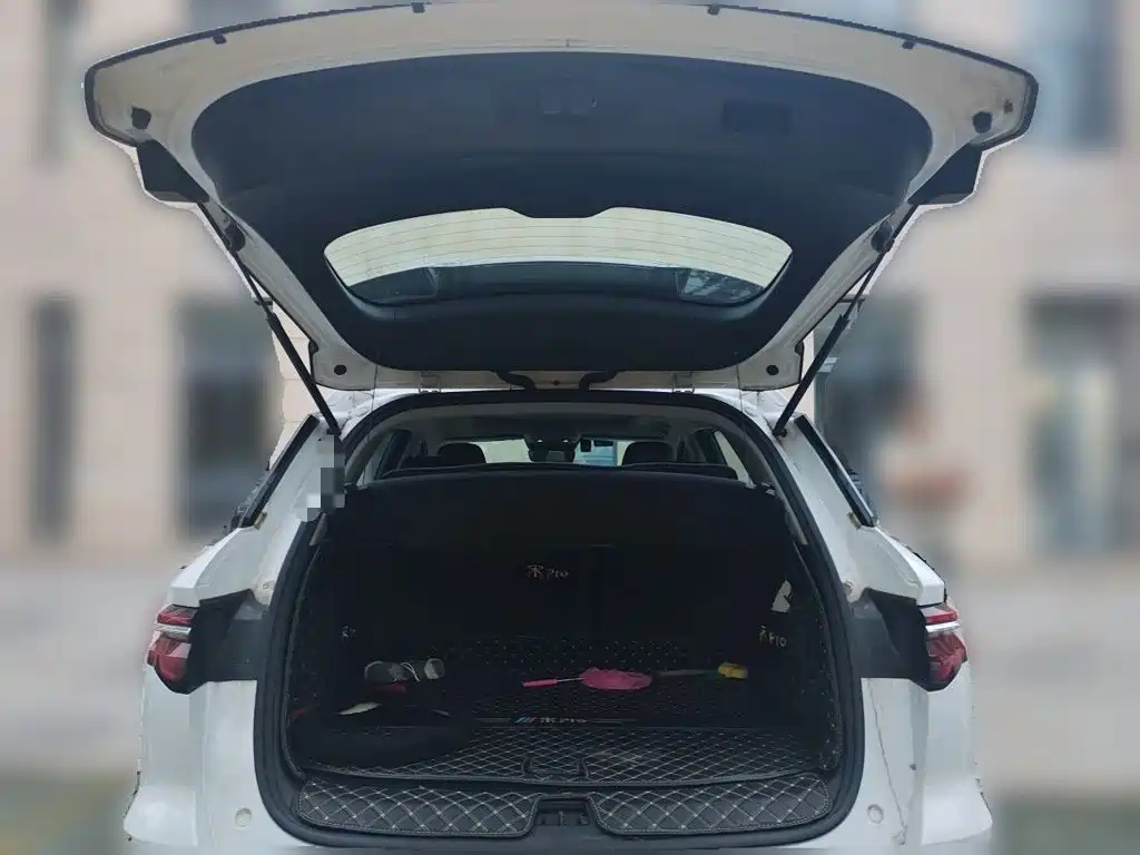 BYD Pro — миниатюра 20