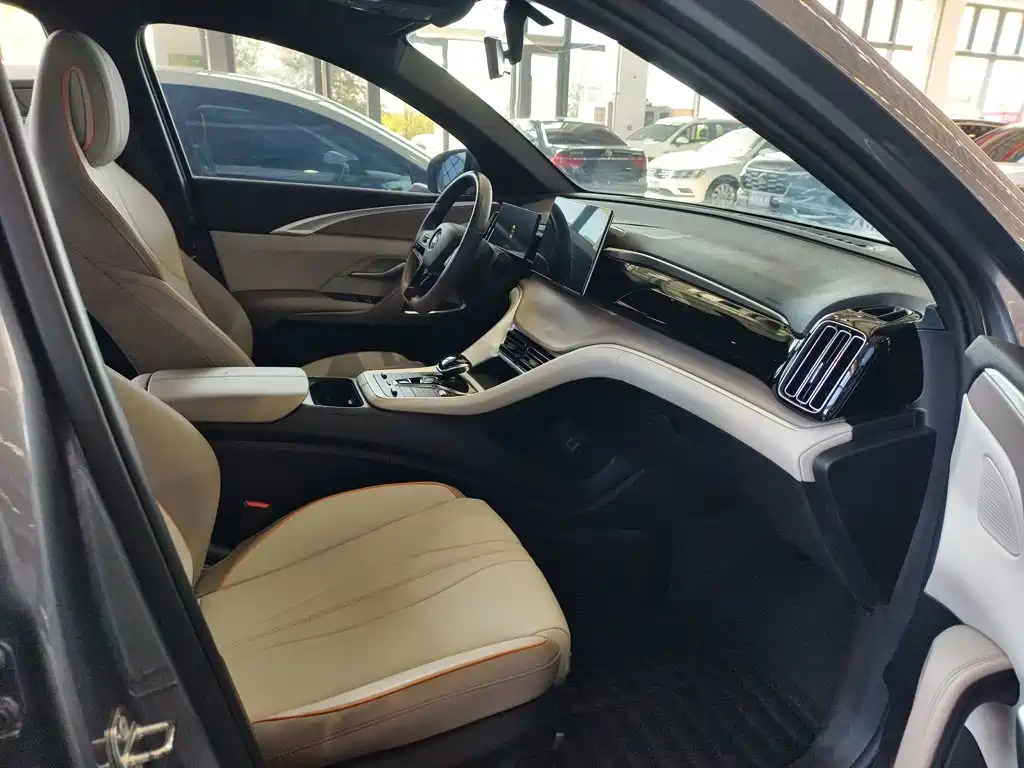 BYD Pro New Energy — миниатюра 3