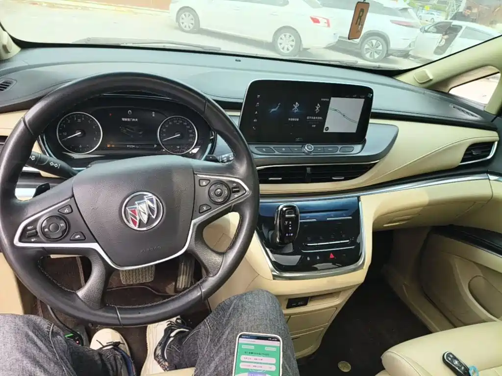 Buick GL8 — миниатюра 10