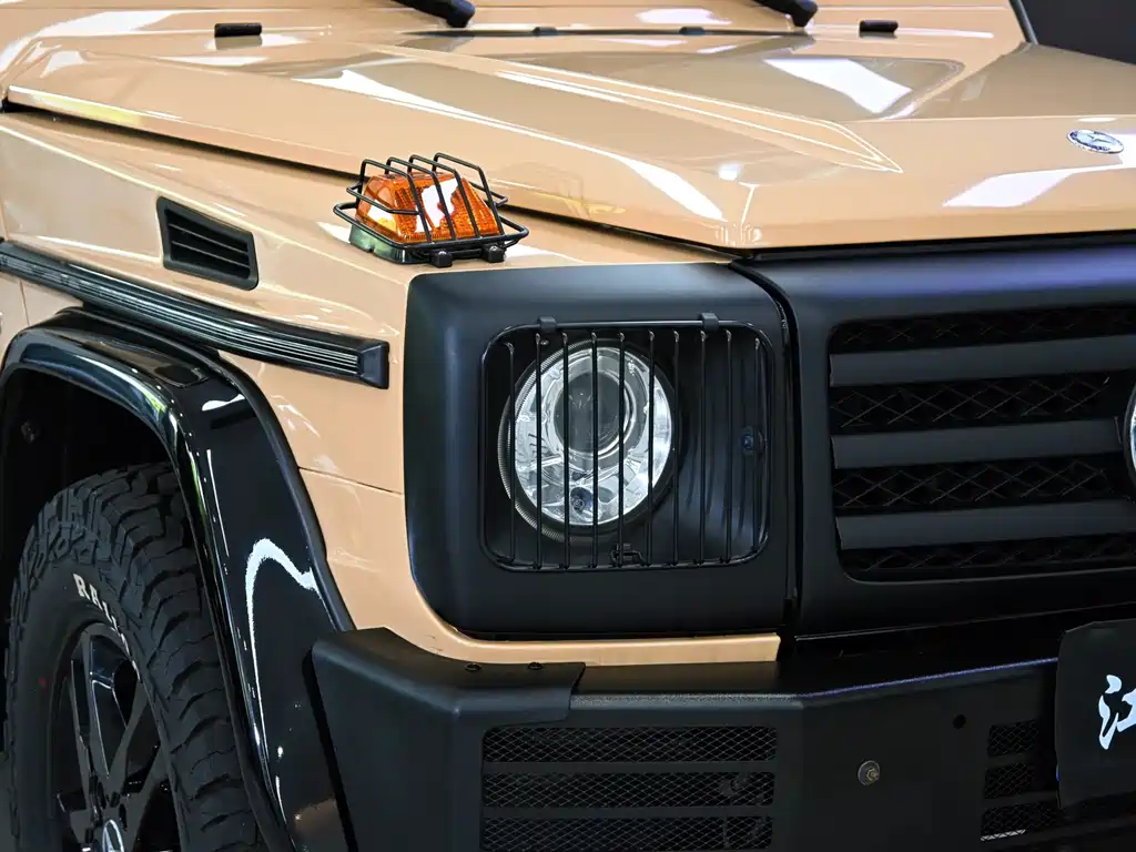 Mercedes-Benz G-Class G 2010 G 500