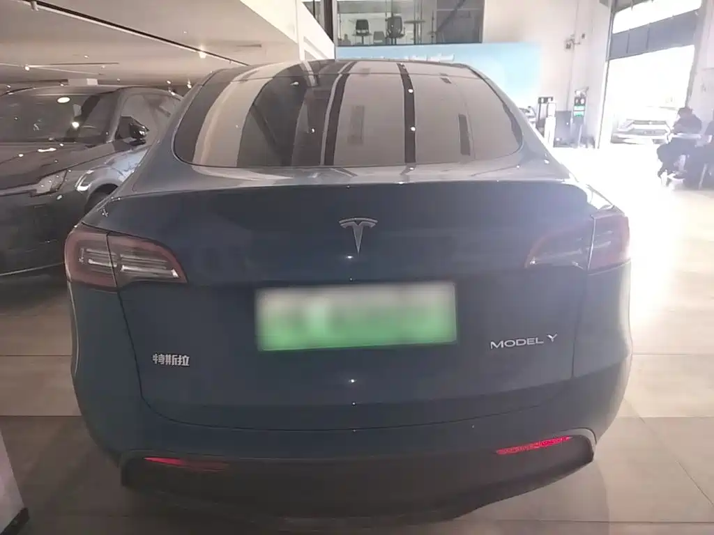 Tesla Model Y — миниатюра 6