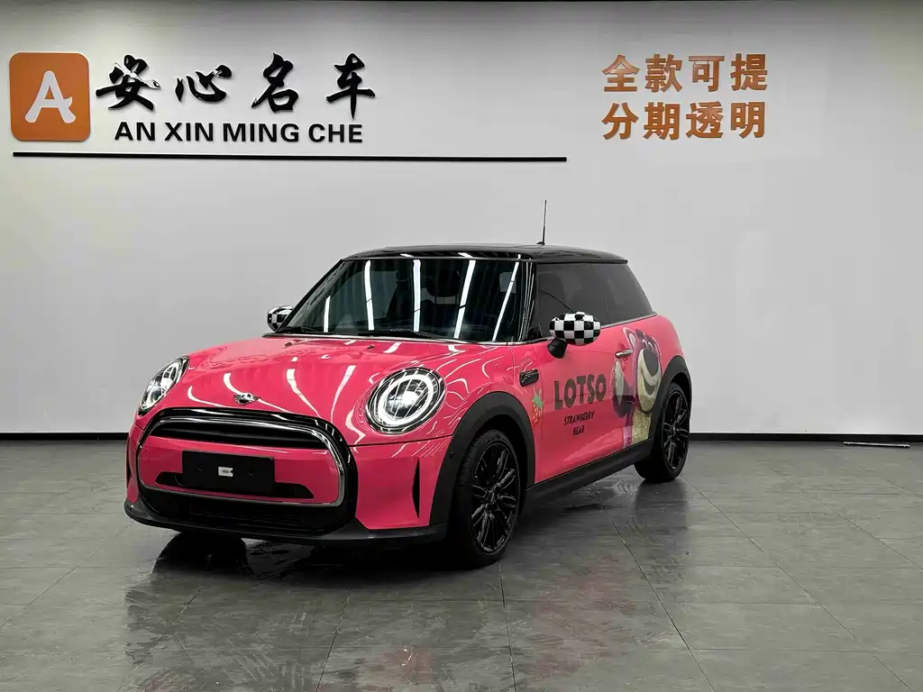 Mini Mini 2021
