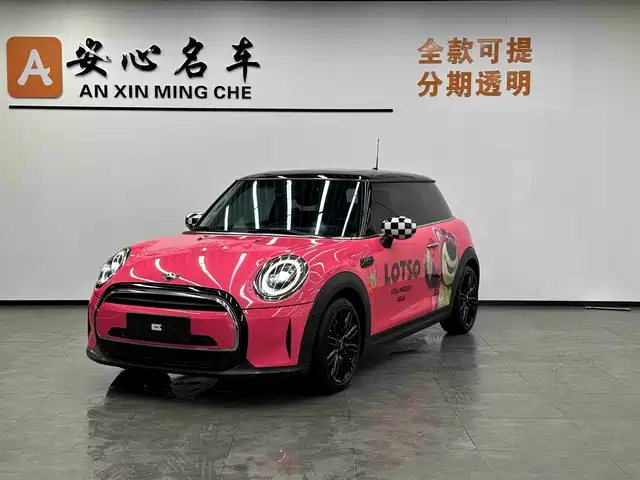 mini 