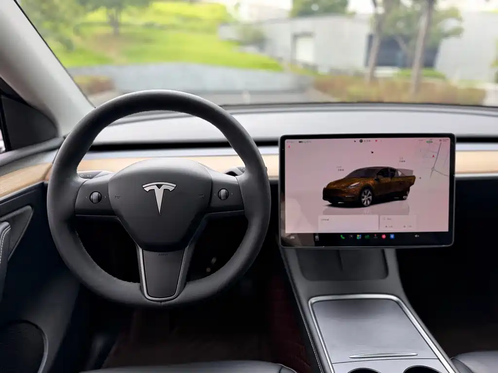 Tesla Model Y — миниатюра 19