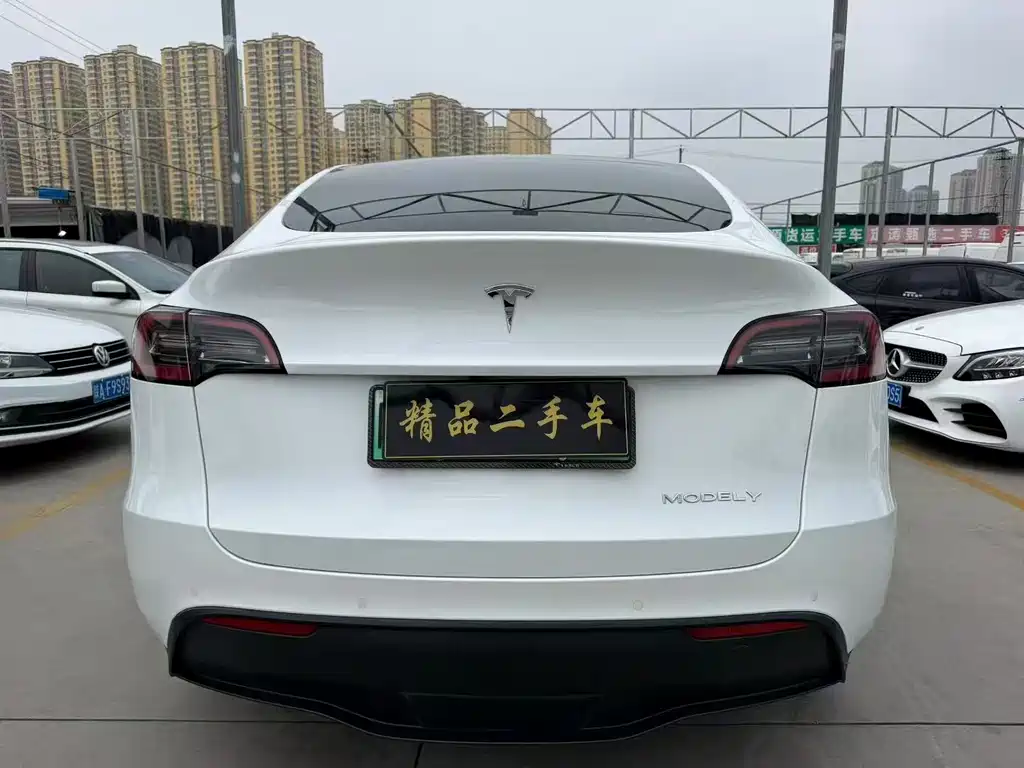 Tesla Model Y — миниатюра 8