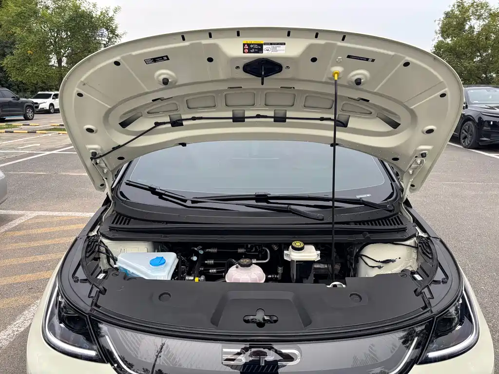 BYD Dolphin — миниатюра 14