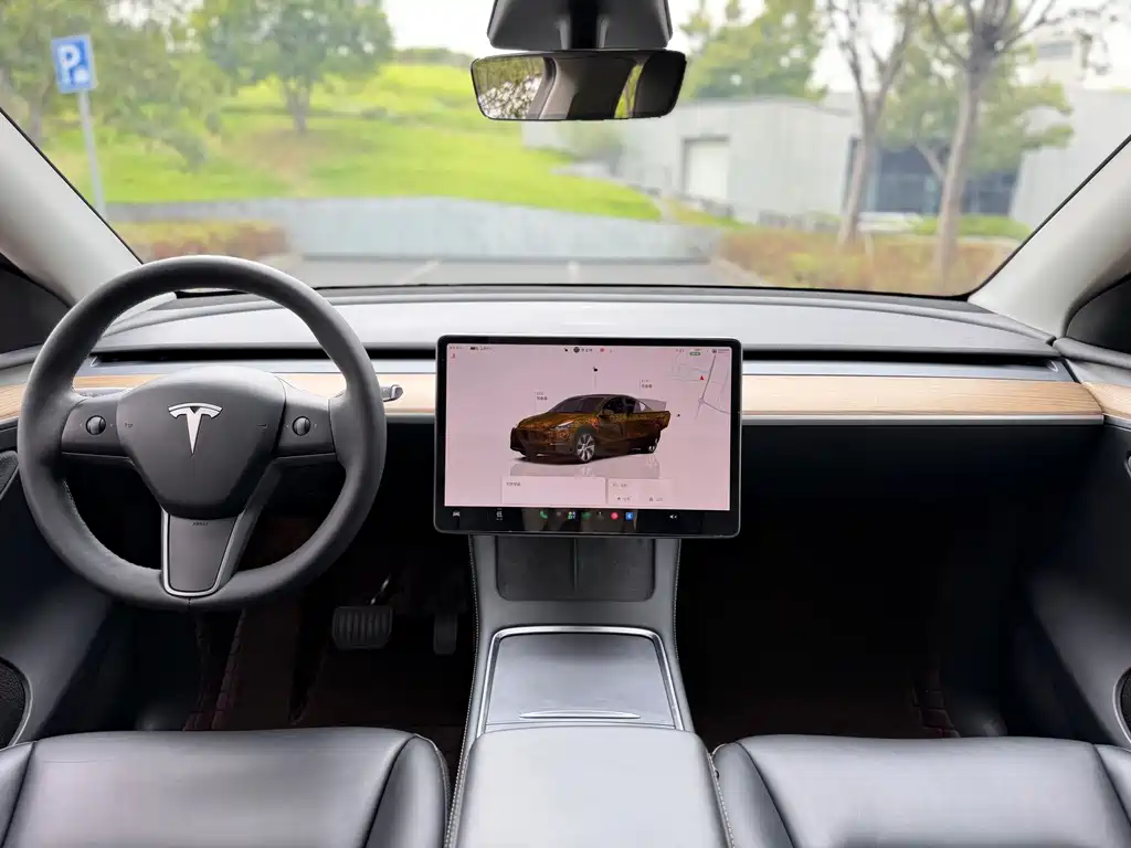 Tesla Model Y — миниатюра 16