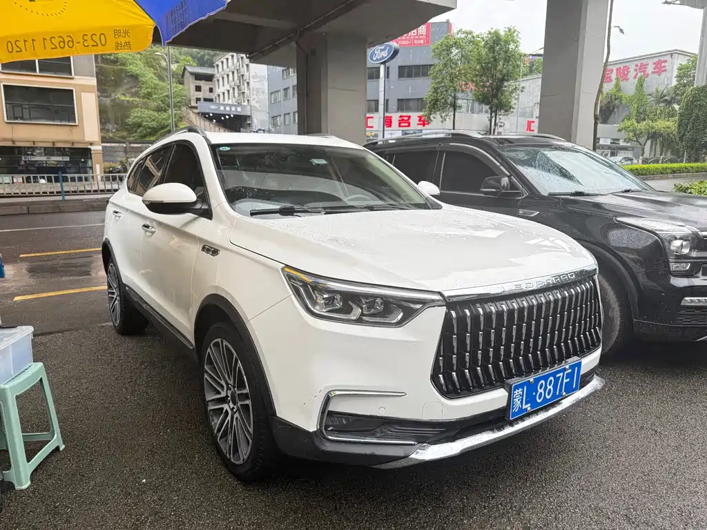 Leopaard Mattu — миниатюра 3