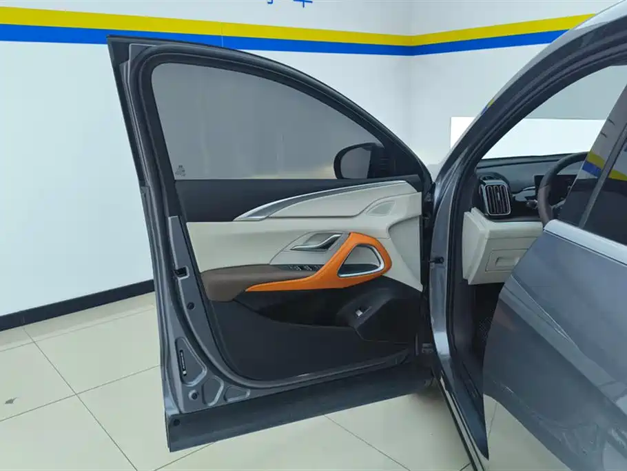 BYD SONGJIANG NEW ENERGY