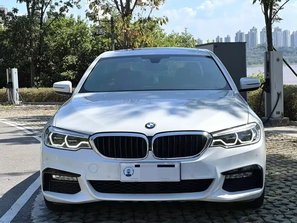 BMW 5 Series — миниатюра 3