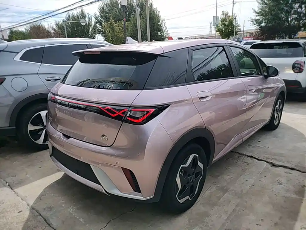 BYD Dolphin — миниатюра 7