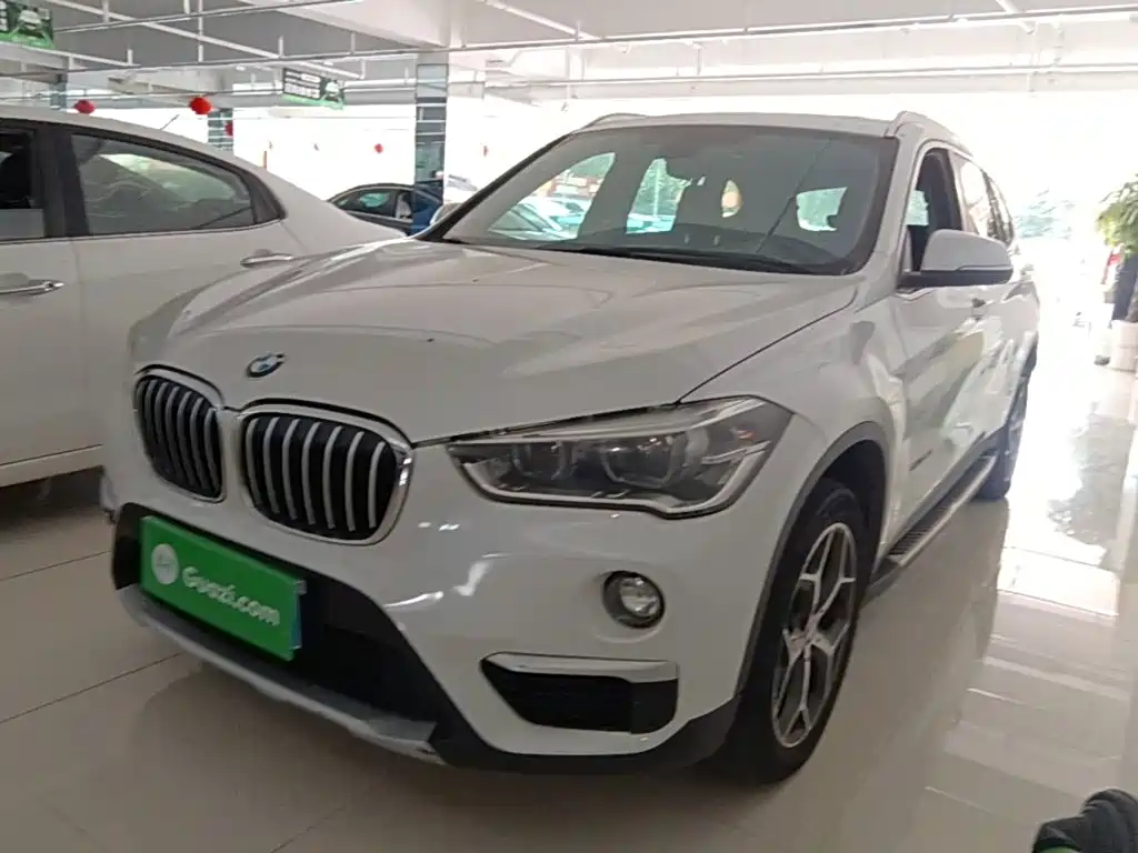 BMW X1 — миниатюра 2