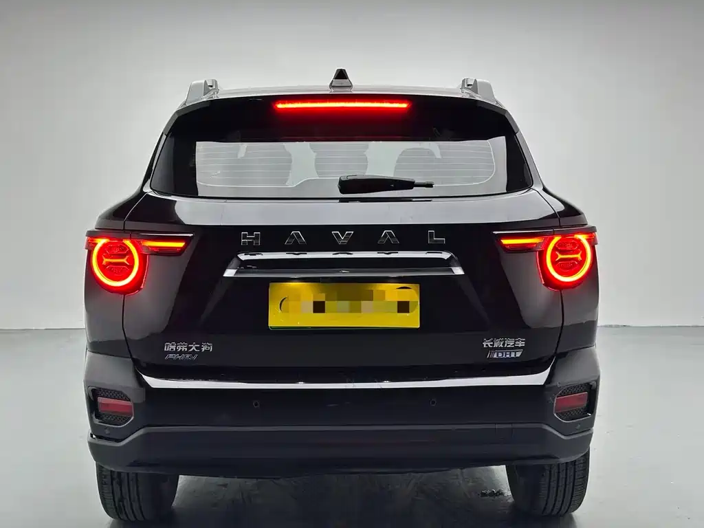 HAVAL SECOND GENERATION BIG DOG NEW ENERGY