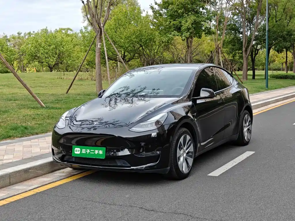 Tesla Model Y — миниатюра 2