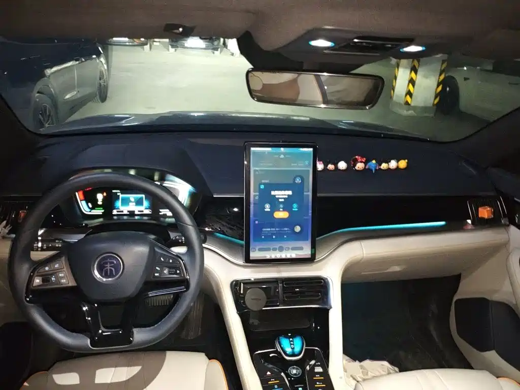 BYD PLUS New Energy — миниатюра 10
