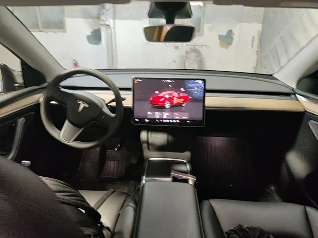 Tesla Model Y — миниатюра 10