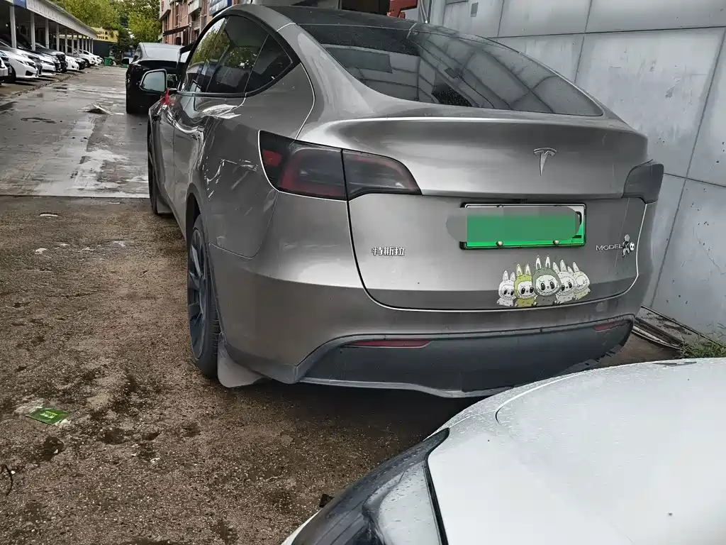 Tesla Model Y — миниатюра 9