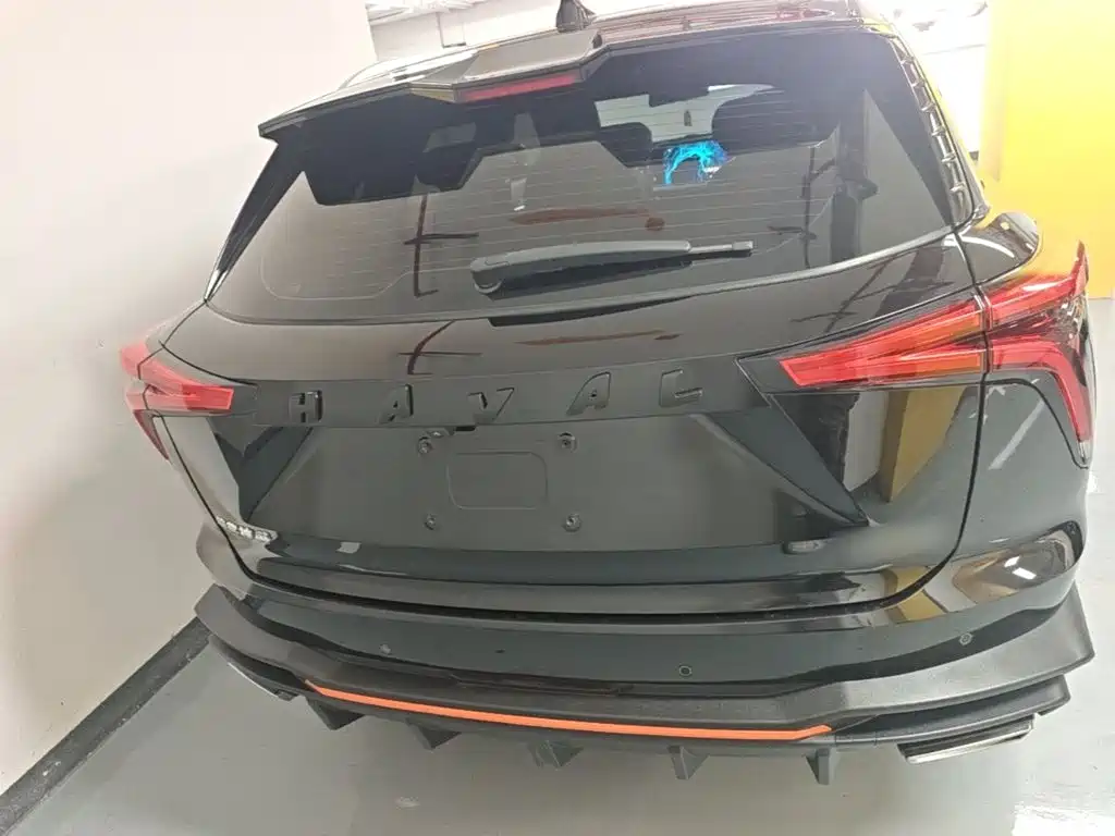 Haval Shenshou — миниатюра 6
