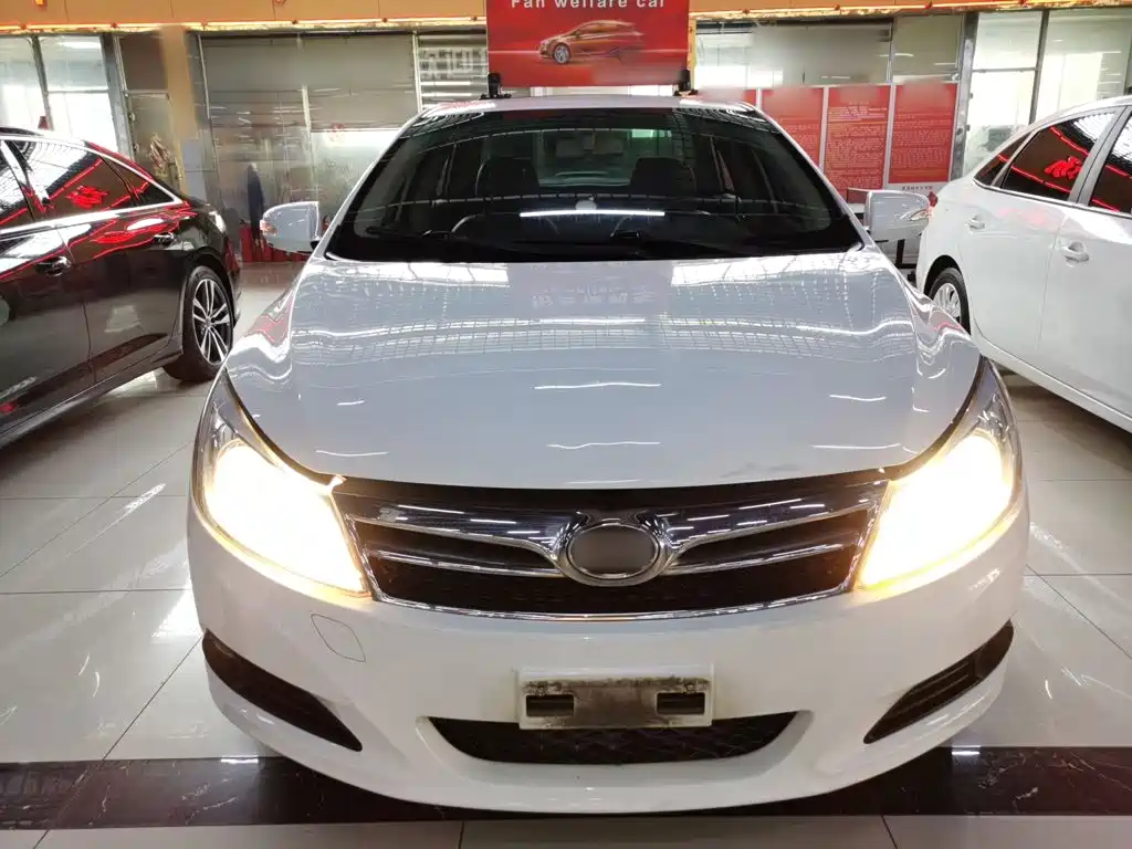 BYD Surui — миниатюра 3