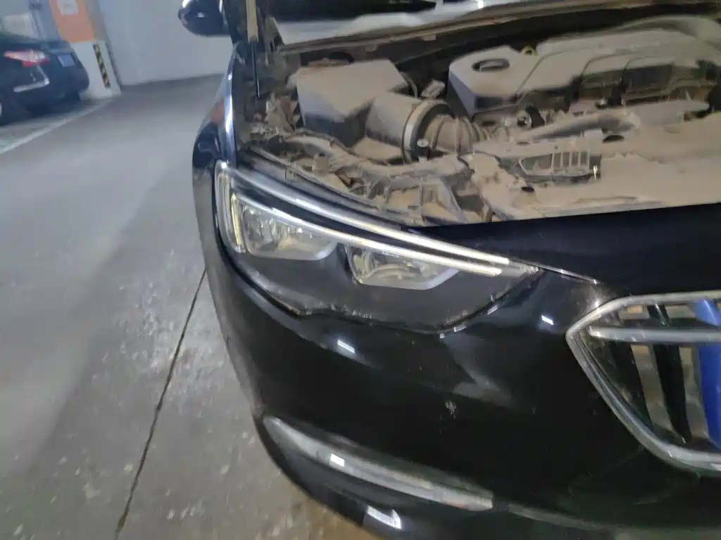 Buick Regal — миниатюра 7